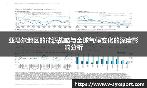 亚马尔地区的能源战略与全球气候变化的深度影响分析